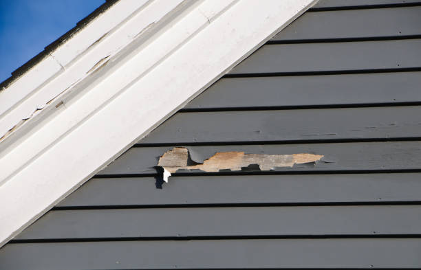 Affordable Siding Repair and Maintenance Services in Ely, NV